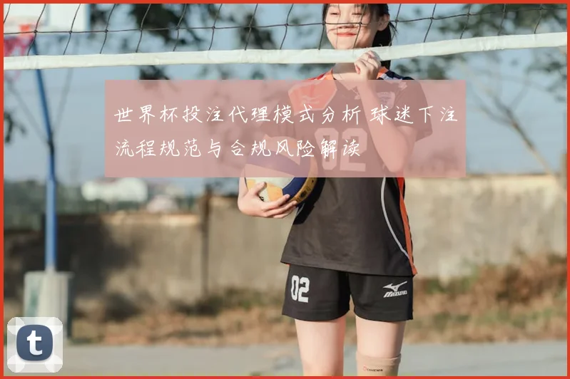 世界杯投注代理模式分析 球迷下注流程规范与合规风险解读