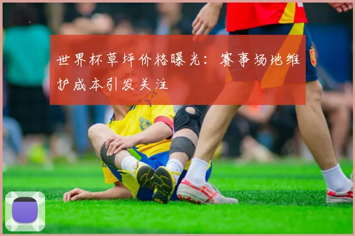 世界杯草坪价格曝光:赛事场地维护成本引发关注
