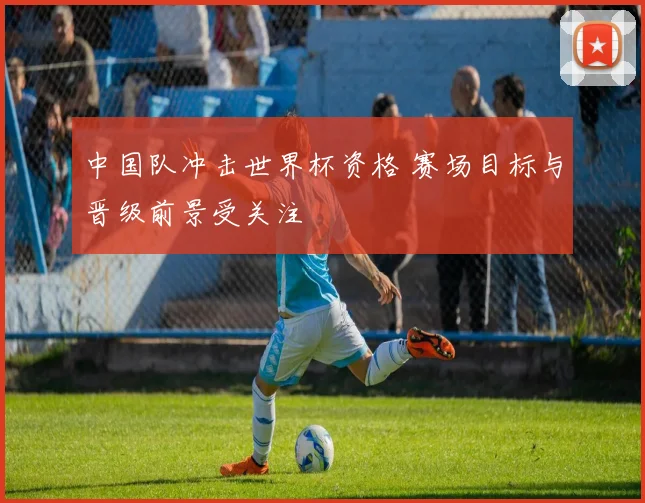 中国队冲击世界杯资格 赛场目标与晋级前景受关注