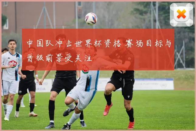 中国队冲击世界杯资格 赛场目标与晋级前景受关注