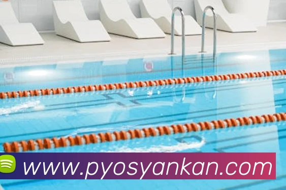 bsprot体育官网登录品牌故事