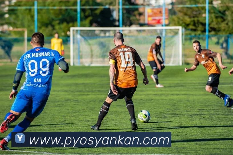 bsprot体育官网登录服务体系